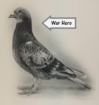 Illustration for article titled Animal Weapons – Videogames vs History